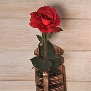 Grande rose rouge h : 82 cm
